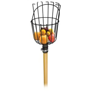 Apanha Frutos Com Cabo - Flux