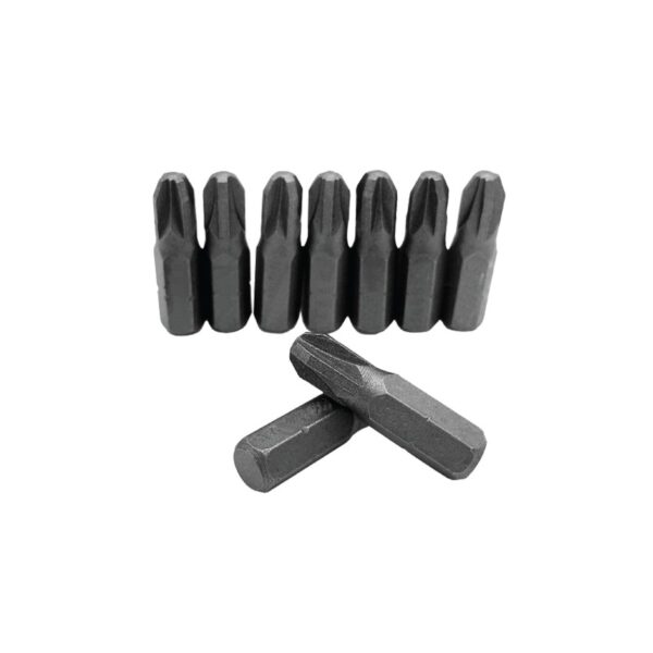 Conjunto 10 Bits Pozidrive - Flux