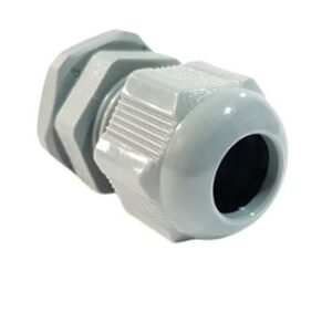 Bucins Cinza PG21 EFT